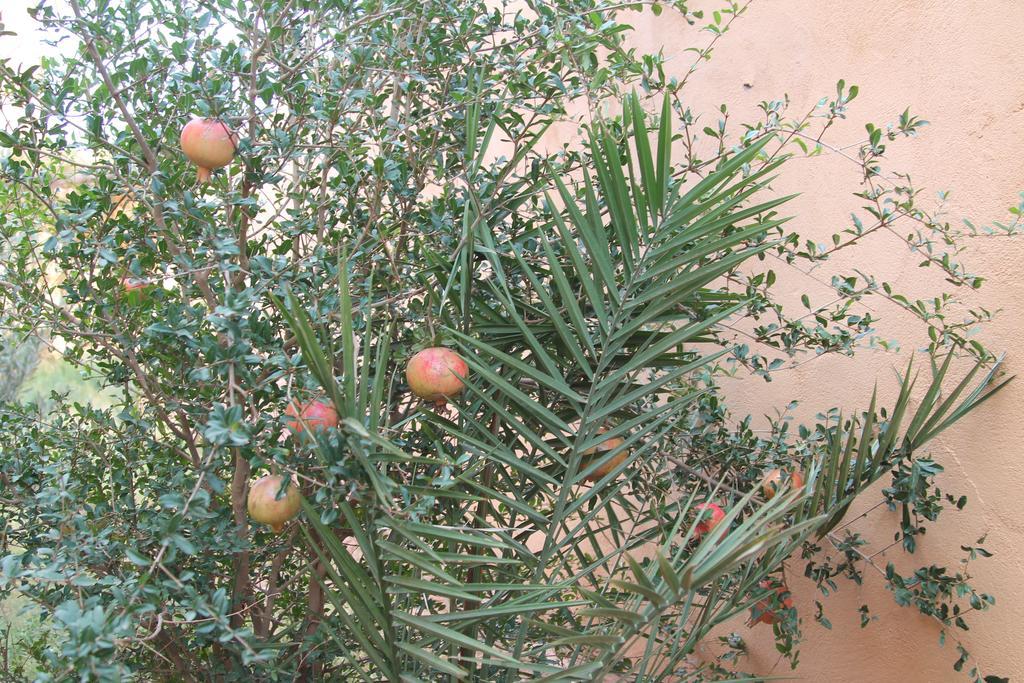 Kasbah Valentine Bed & Breakfast